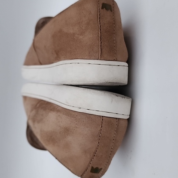 Birdies Tan and White Sneakers Sleek and Versatile - Picture 7 of 11